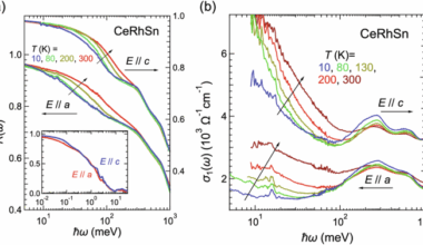 Anisotropic non-Fermi liquid and dynamical Planckian scaling of a quasi-kagome Kondo lattice system