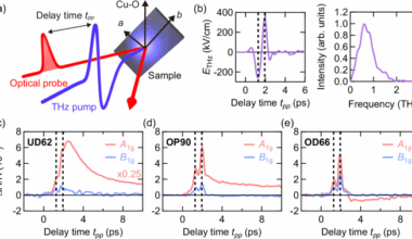 Distinct terahertz nonlinear and Raman responses in cuprate superconductors Bi2Sr2CaCu2O8+x