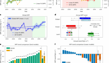 Contrasting biological production trends over land and ocean
