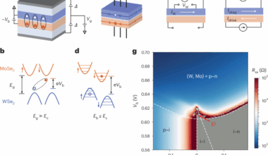 Quantum oscillations in a dipolar excitonic insulator