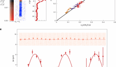 Bloch oscillations of a soliton in a one-dimensional quantum fluid