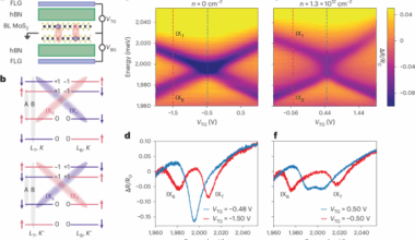 Optical signatures of interlayer electron coherence in a bilayer semiconductor