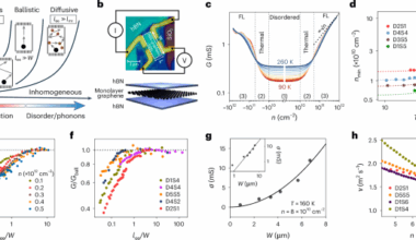 Universality in quantum critical flow of charge and heat in ultraclean graphene