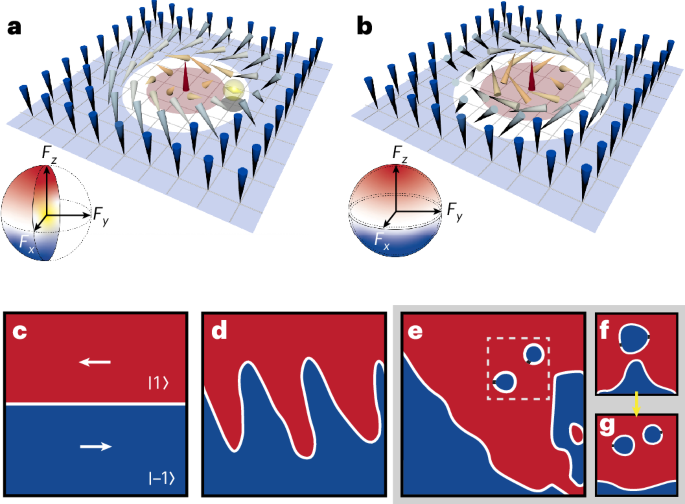 Stable singular fractional skyrmion spin texture from the quantum Kelvin–Helmholtz instability