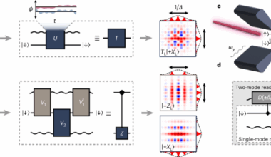 Universal quantum gate set for Gottesman–Kitaev–Preskill logical qubits