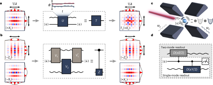 Universal quantum gate set for Gottesman–Kitaev–Preskill logical qubits