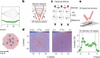 Magnon-polarons in the Fermi–Hubbard model