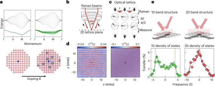 Magnon-polarons in the Fermi–Hubbard model