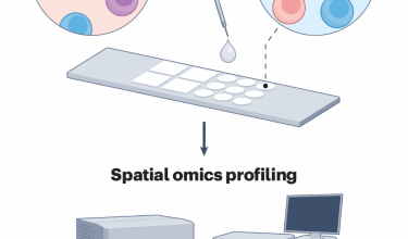 Imaging-based multimodal profiling of single cells with STAMP