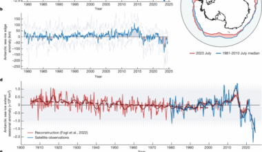Emerging evidence of abrupt changes in the Antarctic environment
