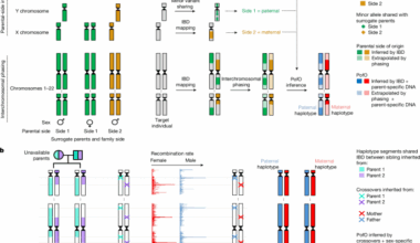 Parent-of-origin effects on complex traits in up to 236,781 individuals
