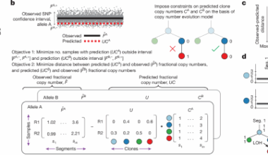 Clone copy number diversity is linked to survival in lung cancer
