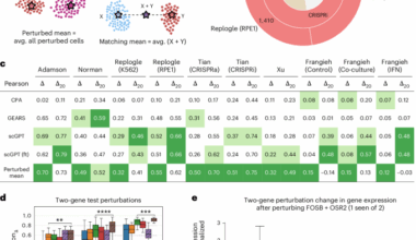 Systema: a framework for evaluating genetic perturbation response prediction beyond systematic variation