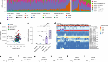 Temporal genomic dynamics shape clinical trajectory in multiple myeloma