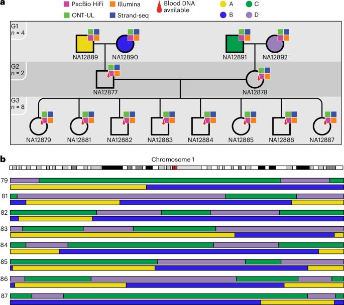 The Platinum Pedigree: a long-read benchmark for genetic variants