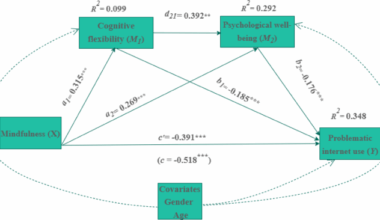The role of cognitive flexibility and psychological well-being in the effect of mindfulness on problematic internet use
