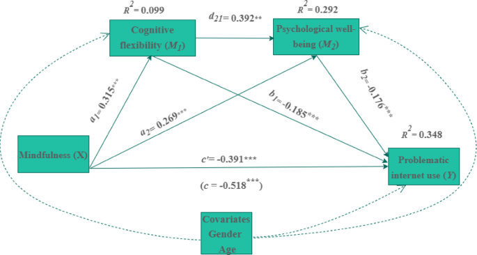 The role of cognitive flexibility and psychological well-being in the effect of mindfulness on problematic internet use