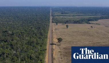 Brazil authorities suspend key Amazon rainforest protection measure | Environment