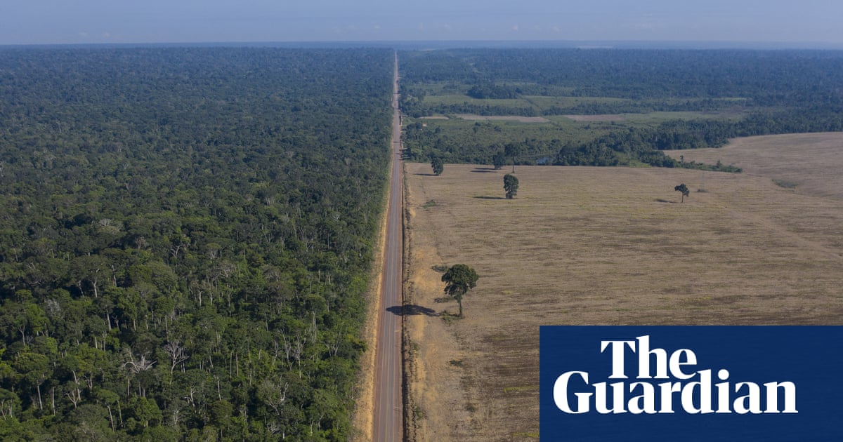 Brazil authorities suspend key Amazon rainforest protection measure | Environment