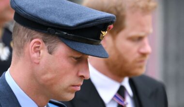 Harry's feud with William 'worse than ever' despite reconciliation hopes - Celebrity News - Entertainment