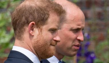 Harry warned one thing will never happen even if family 'patch things up' - Celebrity News - Entertainment