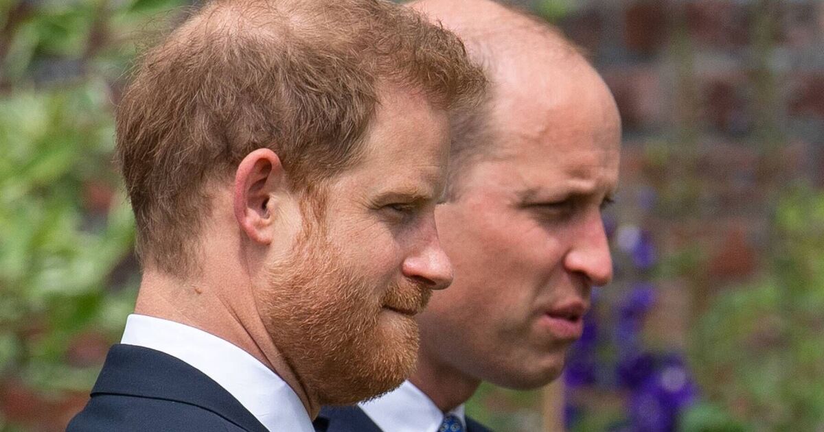 Harry warned one thing will never happen even if family 'patch things up' - Celebrity News - Entertainment