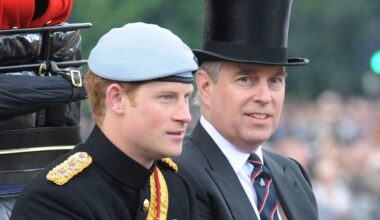 Prince Harry breaks silence over 'physical fight' with Prince Andrew and comments on Meghan