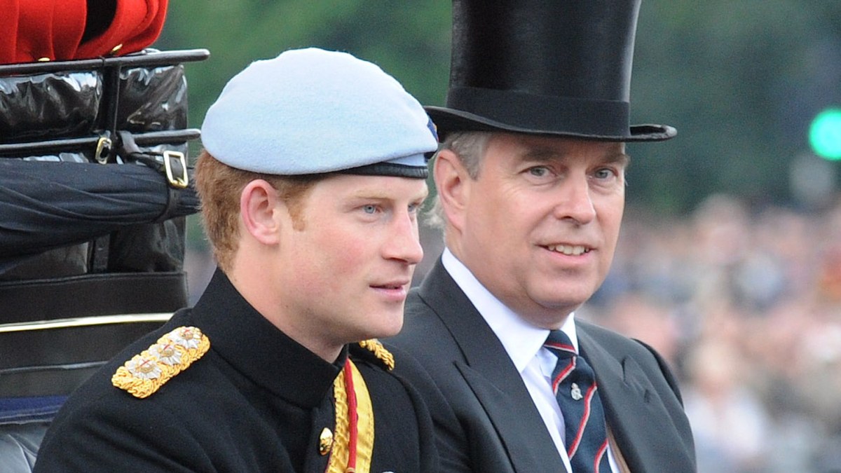 Prince Harry breaks silence over 'physical fight' with Prince Andrew and comments on Meghan