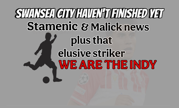 Swansea City : Latest transfer news in detail plus Sheffield United focus - Swansea City News