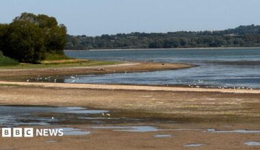 The shallow, brown banks of Chew Valley Lake. Water has receded with wading birds, exposed shoreline and trees all visible.