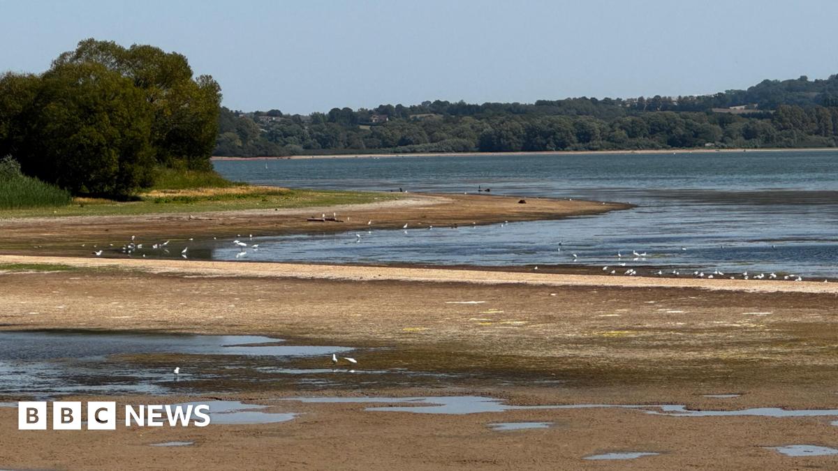 The shallow, brown banks of Chew Valley Lake. Water has receded with wading birds, exposed shoreline and trees all visible.