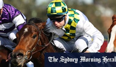 Sunshine In Paris retired to stud after track work injury