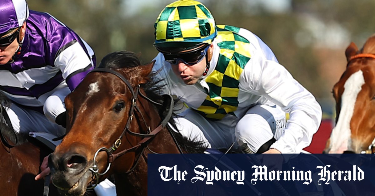 Sunshine In Paris retired to stud after track work injury