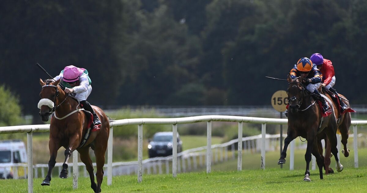 Plaza Athenee can make it third time lucky 