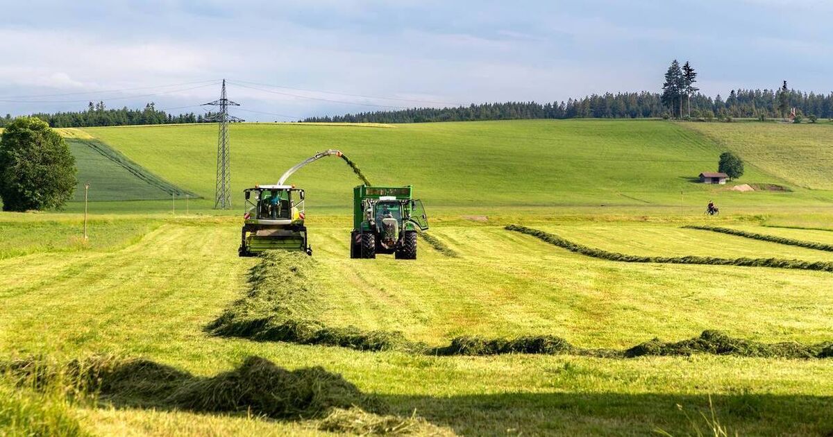 Years after Brexit, food sector facing more volatility
