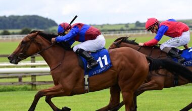 Sugar Island can build on debut success on return to Curragh
