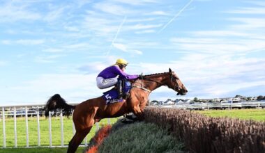 You Oughta Know impresses in Wexford win 