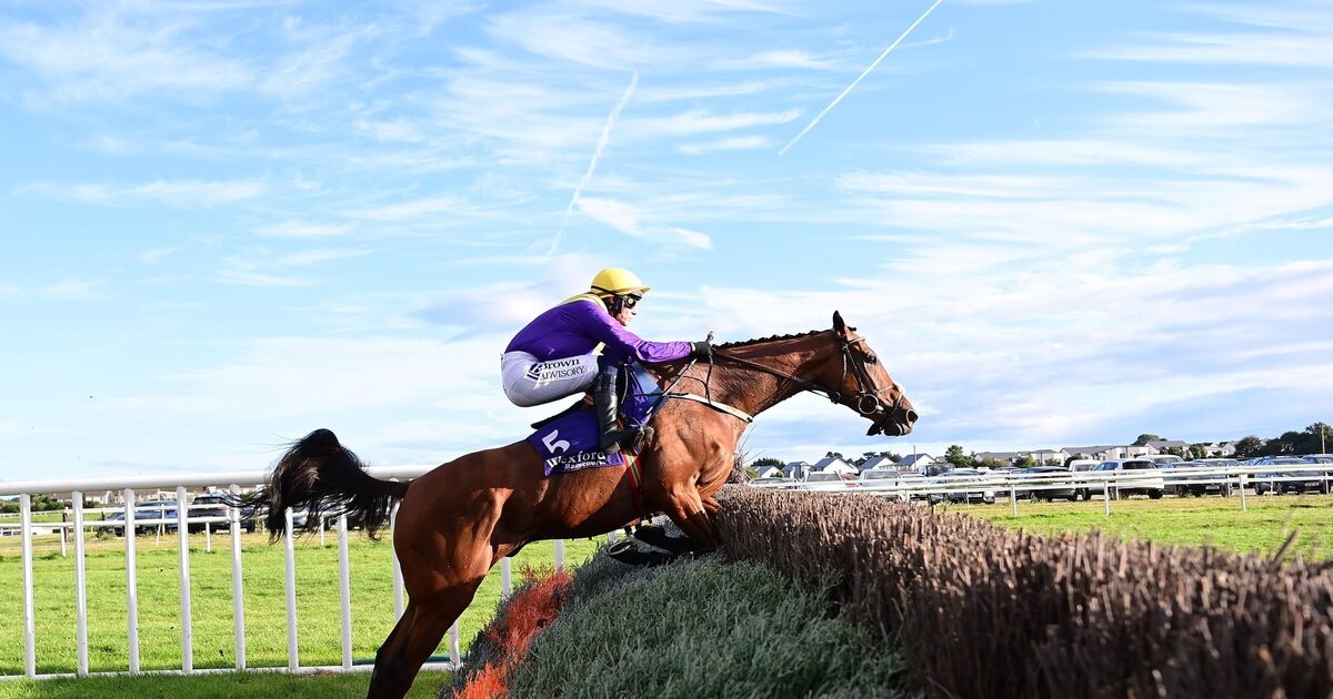 You Oughta Know impresses in Wexford win 