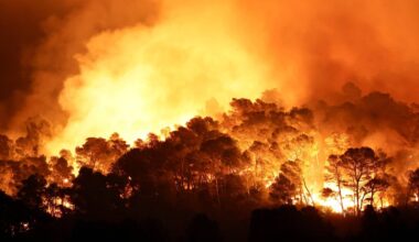 Deadly wildfires in southwest France burn area larger than Paris