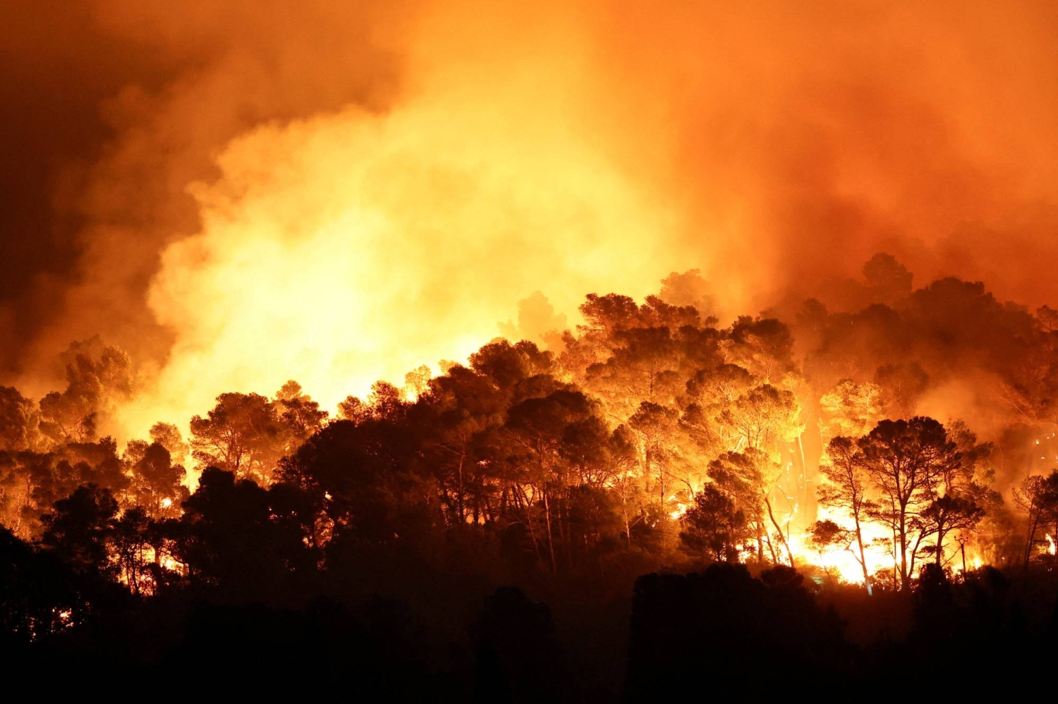 Deadly wildfires in southwest France burn area larger than Paris