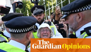 Anger, fear and a total rejection of politics: the Palestine Action protest was a snapshot of Britain today | Andy Beckett