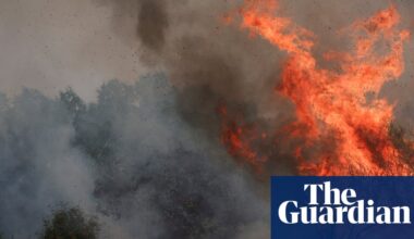 Spain wildfires are ‘clear warning’ of climate emergency, minister says | Spain