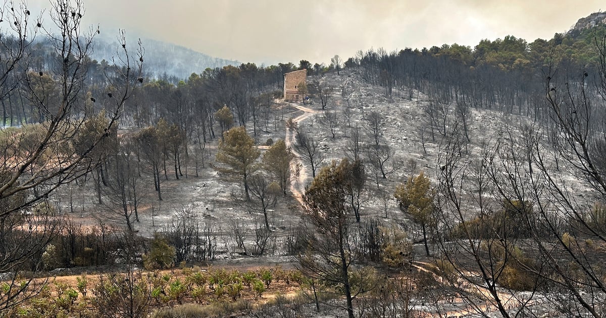 France’s largest wildfire in decades leaves trail of devastation – The Irish Times