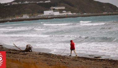 Earthquake off Russia's coast has left Pacific 'ringing like a bell' - scientist