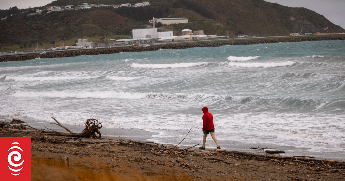 Earthquake off Russia's coast has left Pacific 'ringing like a bell' - scientist