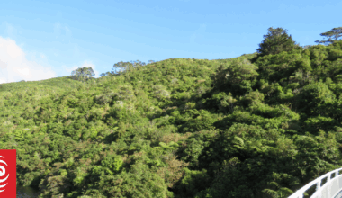 Zealandia celebrates once again being weasel-free