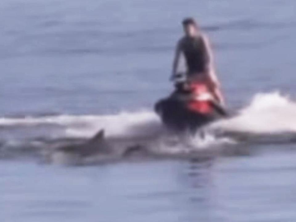 An investigation has been launched into the incident. Picture: 7NEWS Adelaide