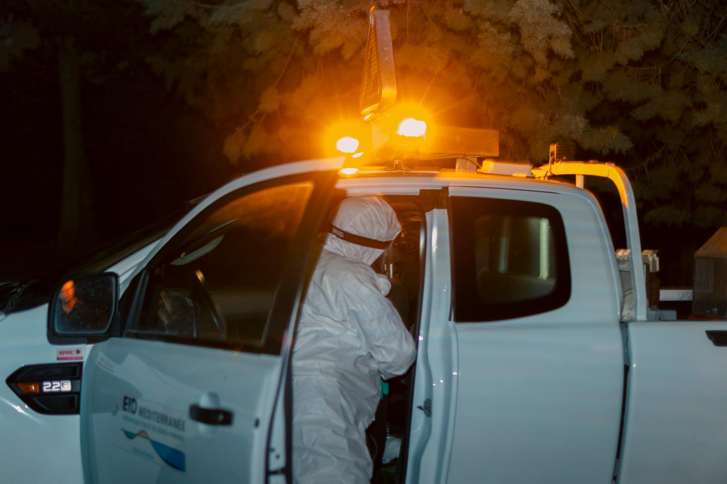 The largest chikungunya outbreak in mainland France sparks hunt for tiger mosquito