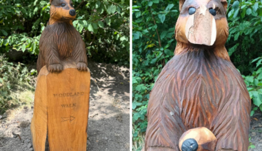 The wooden sculpture of a badger in Walsall has been damaged after what the local council said was a "senseless" act of vandalism. Photo: Walsall Council