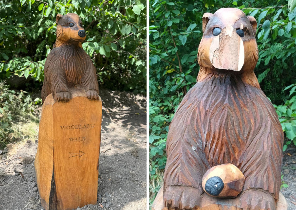 The wooden sculpture of a badger in Walsall has been damaged after what the local council said was a "senseless" act of vandalism. Photo: Walsall Council